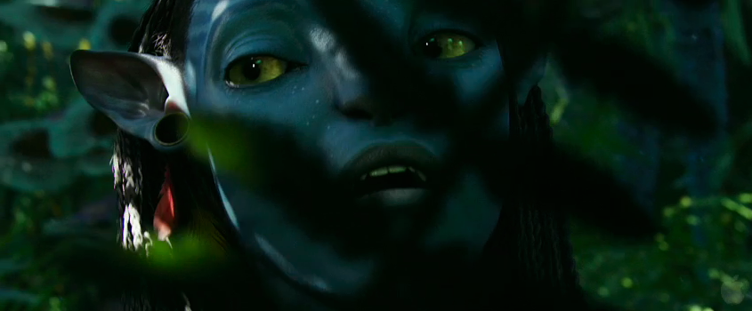 Avatar
